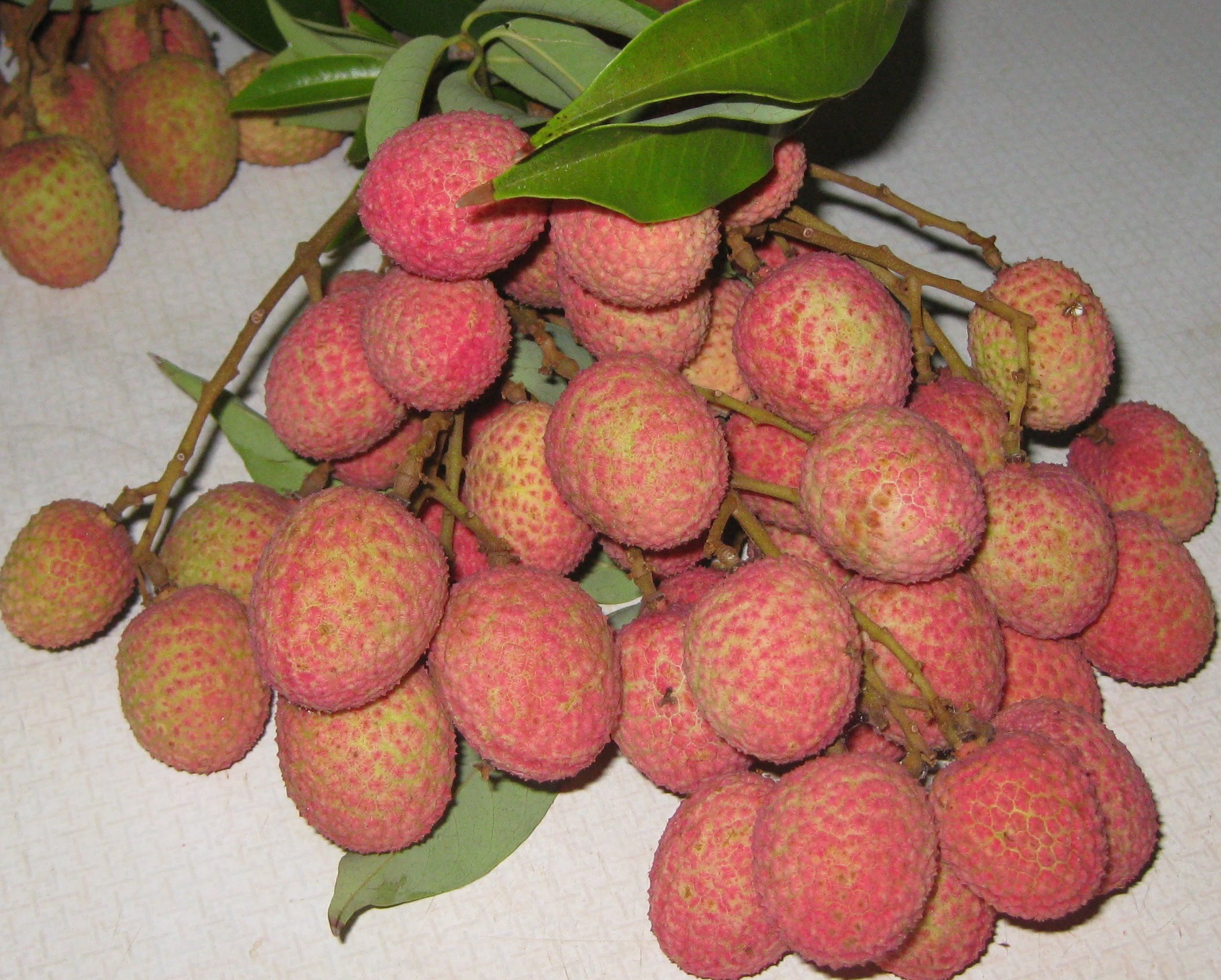 You are currently viewing Lychee, You’re Going to Love It